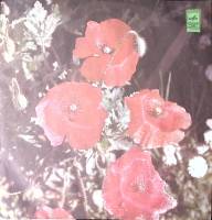 Пластинка виниловая Оркестр Поля Мориа Любовь ушла Мелодия 300 мм. Excellent