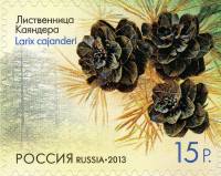 2013-026 Марка Россия Лиственница каяндера  Шишки деревьев и кустарников III O