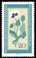 (1960-015) Марка Германия (ГДР) "Опиумный мак"    Лекарственные растения II Θ