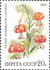 1988-066 Марка СССР Лилия кудреватая  Цветы широколиственных лесов III O