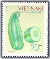 (1970-029) Марка Вьетнам "Кабачок"   Бахчевые культуры III Θ