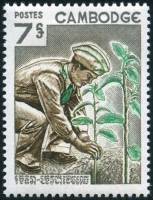 (№1966-205) Марка Камбоджа 1966 год "День дерева", Гашеная