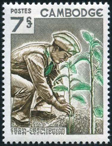 (№1966-205) Марка Камбоджа 1966 год &quot;День дерева&quot;, Гашеная