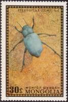 (1972-021) Марка Монголия "Жук-чернотелка"    Насекомые Монголии: жуки III Θ