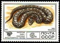 1977-101 Марка СССР Эфа песчаная  Фауна III Θ