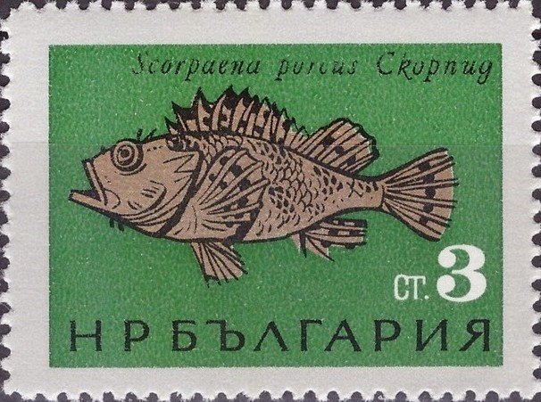 (1965-036) Марка Болгария "Скорпена (морской ёрш)"   Рыбы Чёрного моря II &Theta;