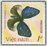 (1987-037a) Марка Вьетнам "Пятнистая ворона"  Без перфорации  Бабочки III Θ