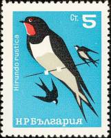 (1965-024) Марка Болгария "Ласточка"   Певчие птицы II Θ