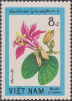 (1984-026) Марка Вьетнам "Баугиния"    Цветущие древесные растения III Θ