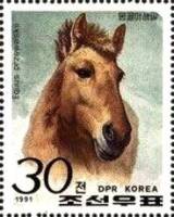 (1991-071) Марка Северная Корея "Дикая лошадь"   Породы лошадей III Θ