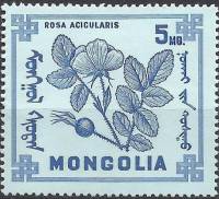 (1968-009) Марка Монголия "Шиповник иглистый"    Ягоды III O