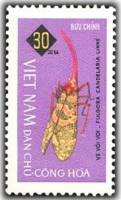 (1965-041) Марка Вьетнам "Фонарник"   Насекомые III O