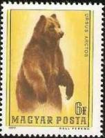 (1977-088) Марка Венгрия "Бурый медведь"    Медведи II Θ
