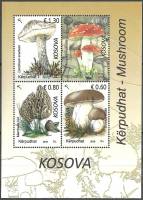 (№2016-38) Блок марок Косово 2016 год "Грибы", Гашеный