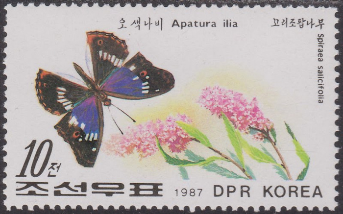 (1987-035) Марка Северная Корея &quot;Переливница тополёвая&quot;   Бабочки III Θ
