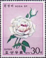 (1979-016) Марка Северная Корея "Белая роза"   Розы III Θ