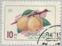 (1961-046) Марка Северная Корея "Хурма"   Фрукты III Θ
