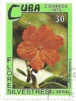 (1973-077) Марка Куба "Кордия Себестена"    Полевые цветы III Θ