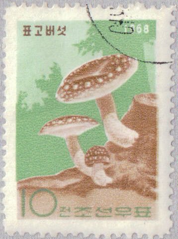 (1968-014) Марка Северная Корея &quot;Мацутакэ&quot;   Грибы III O