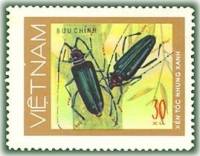 (1977-021a) Марка Вьетнам "Бархатисто-зеленый усач"  Без перфорации  Жуки III Θ