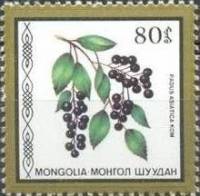 (1987-047) Марка Монголия "Черемуха"    Съедобные ягоды III Θ