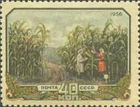 1956-091 Марка СССР Кукурузное поле   Сельское хозяйство в СССР II Θ