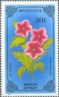 (1986-040) Марка Монголия "Гиосциамус"    Лекарственные растения III Θ