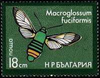 (1975-068) Марка Болгария "Шмелевидный хоботник"    Насекомые (сумеречные бабочки-бражники) III Θ