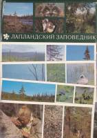 Набор открыток "Лапландский заповедник", некомплект 14 из 15 шт., 1980 г.