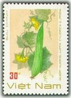 (1988-093) Марка Вьетнам "Люффа египетская"    Овощи III O