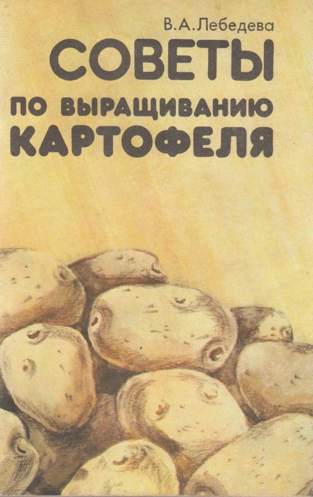 Книга Советы по выращиванию картофеля 1991 В. Лебедева СПб Мягкая обл. 32 с. Без илл.