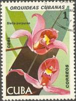 (1980-030) Марка Куба "Сосново-розовая"    Орхидеи II Θ