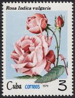 (1979-059) Марка Куба "Роза душистая"    Розы III Θ