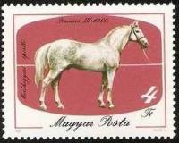 (1985-038) Марка Венгрия "Рамзес-3, 1960 "    Лошади II Θ