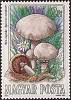 (1984-053) Марка Венгрия "Шампиньон обыкновенный"    Съедобные грибы II Θ