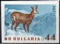 (1958-014a) Марка Болгария "Серна" Без перфорации   Дикие животные Болгарии III O