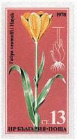 (1978-043) Марка Болгария "Тюльпан поздний"   Редкие цветы III Θ