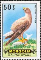 (1970-025) Марка Монголия "Орлан-белохвост"    Хищные птицы III Θ
