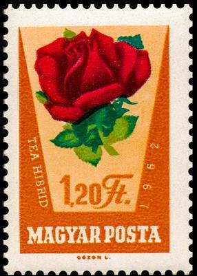 (1962-047) Марка Венгрия "Бордовая роза"    Розы II &Theta;