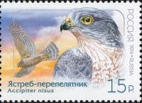 2014-108 Марка Россия Ястреб-перепелятник  Совместный выпуск Россия - КНДР. Птицы III O