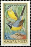 (1973-028) Марка Венгрия "Горная трясогузка"    Певчие птицы II Θ