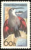 (1965-068) Марка Чехословакия "Стенолаз"    Горные птицы II Θ