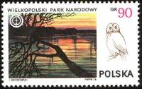 (1976-025) Марка Польша "Серая неясыть "    Великопольский Национальный парк II Θ