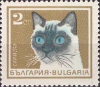 (1967-023) Марка Болгария "Сиамская"   Домашние кошки III Θ
