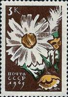 1965-039 Марка СССР Ромашки   Цветы II O