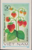(1981-041a) Марка Вьетнам "Земляника лесная"  Без перфорации  Фрукты I Θ