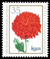 (1975-067) Марка Германия (ГДР) "Хризантема"    Цветы III Θ