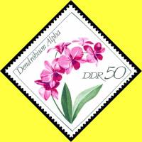 (1968-093) Марка Германия (ГДР) "Дендробиум альфа"    Орхидеи II Θ