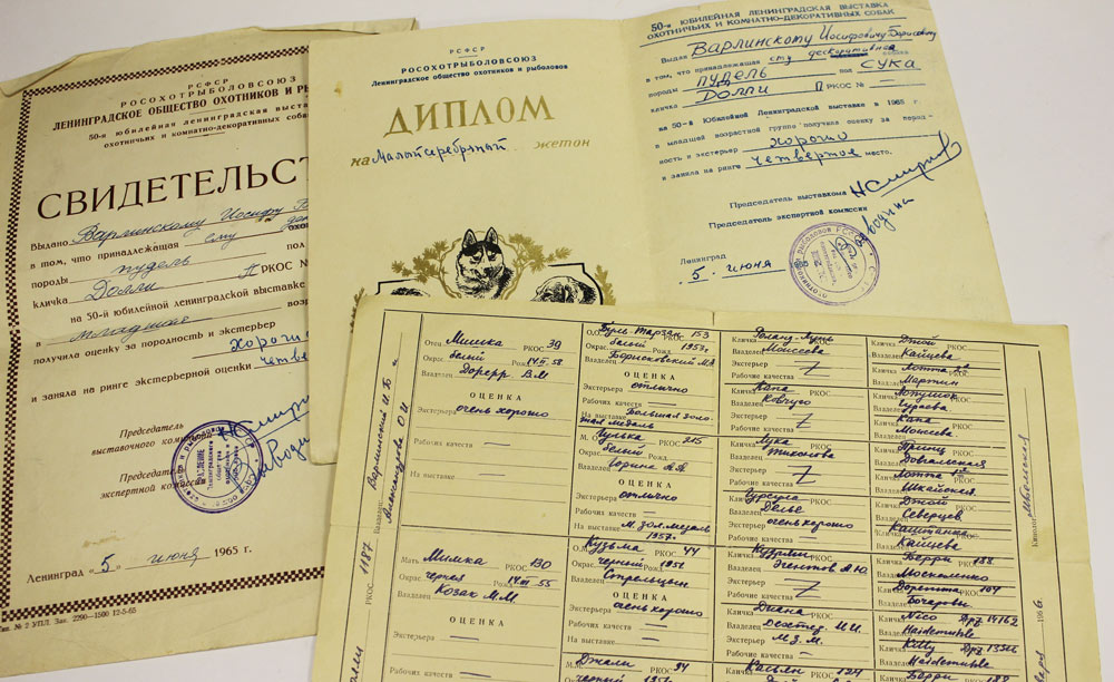 Комплект документов участника выставки собак + 2 наградных жетона, 1965 год (см. фото)