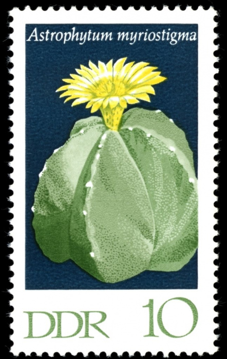 (1970-101) Марка Германия (ГДР) &quot;Астрофитум&quot;    Кактусы III Θ